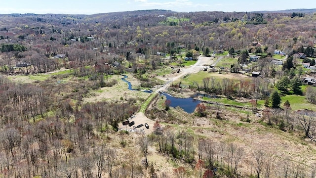 75 Gleneagle Rd, Middlebury, CT 06762 - photo 23