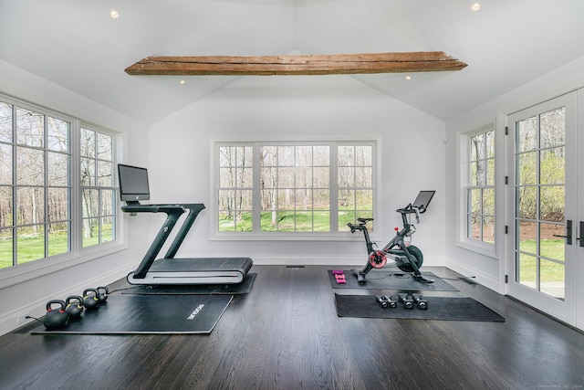 exercise area featuring lofted ceiling and dark hardwood / wood-style floors