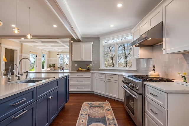 kitchen with white cabinetry, blue cabinets, high end stainless steel range oven, and dark hardwood / wood-style flooring