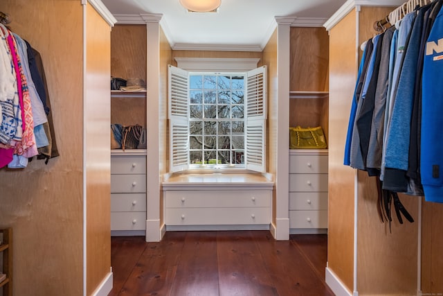 walk in closet with dark wood-type flooring