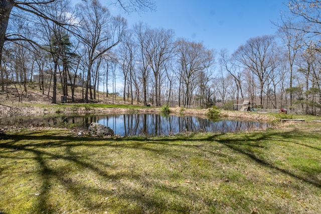 view of water feature