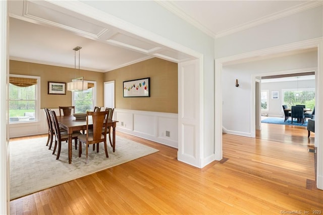 dining area with a wainscoted wall, a decorative wall, crown molding, and light wood finished floors