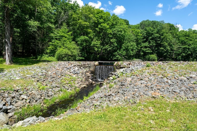 view of local wilderness