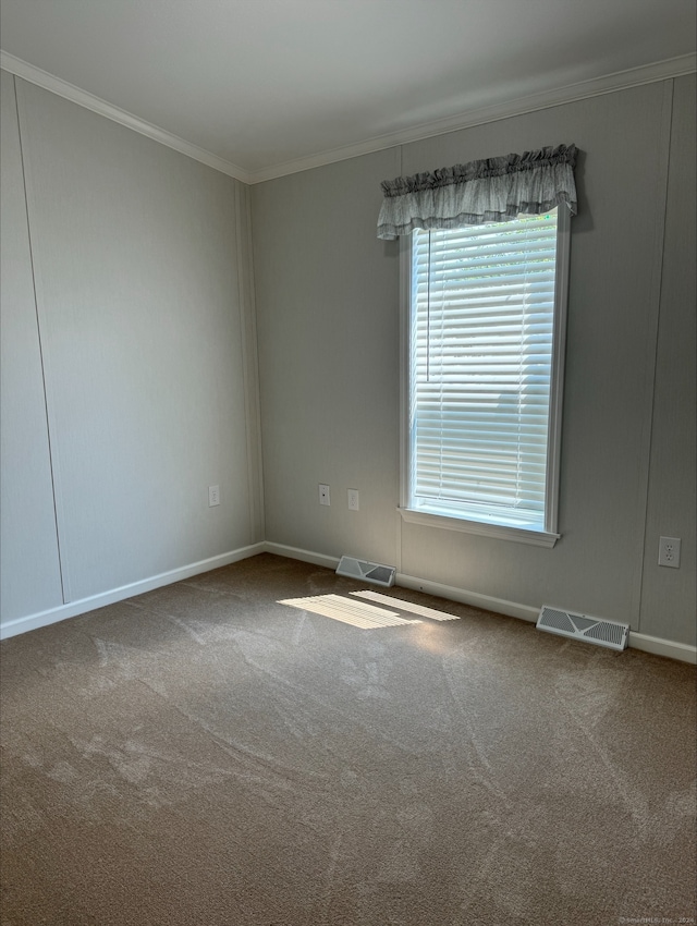 empty room with carpet flooring and ornamental molding