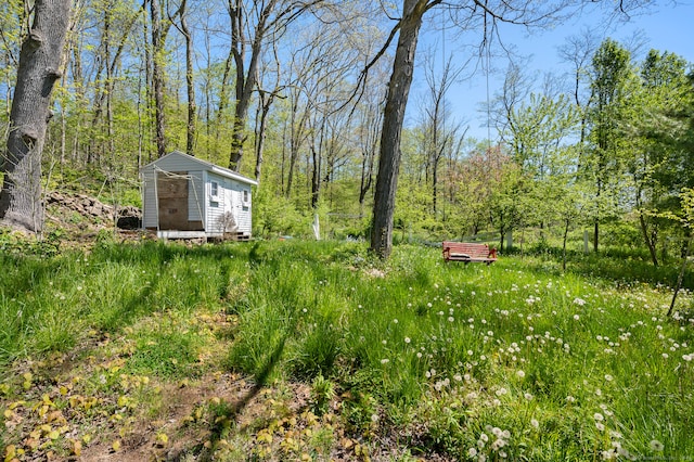 view of yard with an outdoor structure