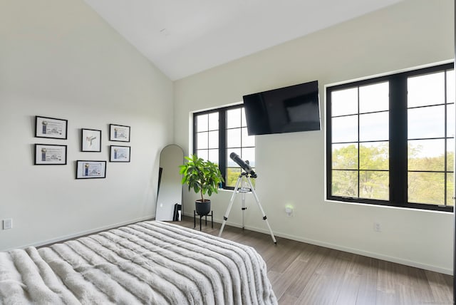 bedroom featuring high vaulted ceiling and wood-type flooring