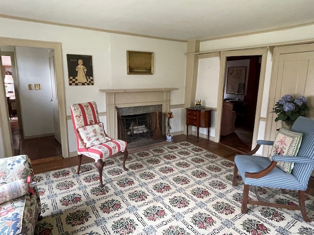 living area featuring a premium fireplace and hardwood / wood-style flooring