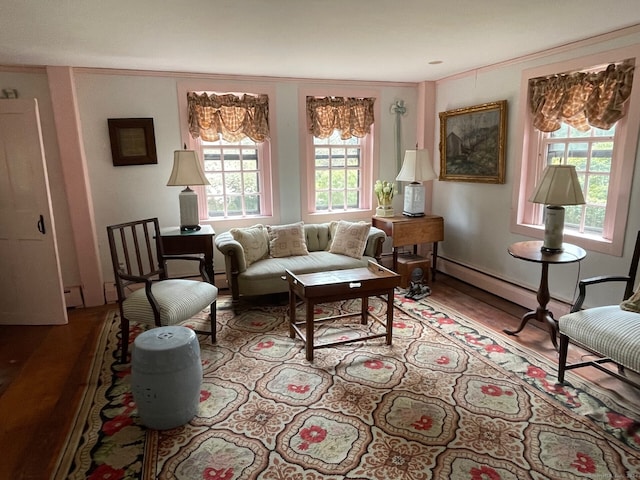 living room with crown molding and a baseboard heating unit