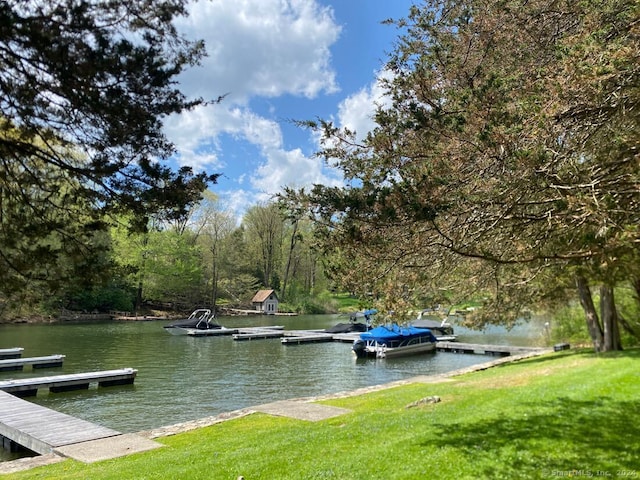 dock area with a water view