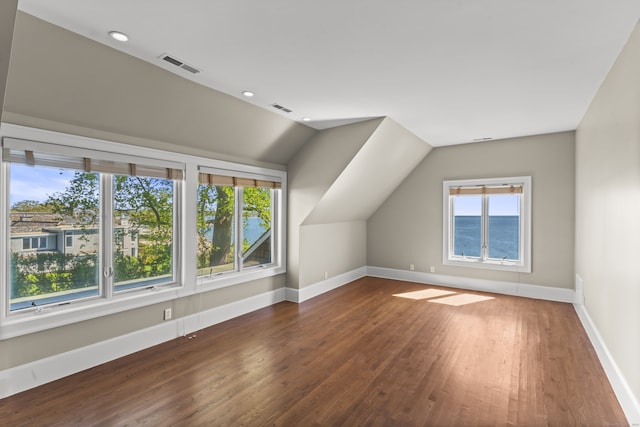 additional living space featuring a healthy amount of sunlight, hardwood / wood-style floors, and lofted ceiling