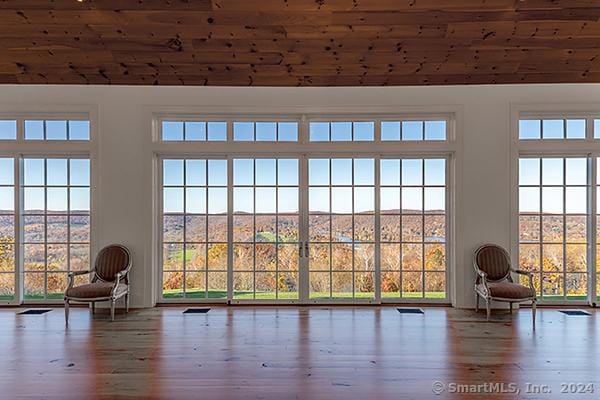 entryway featuring hardwood / wood-style floors and a wealth of natural light