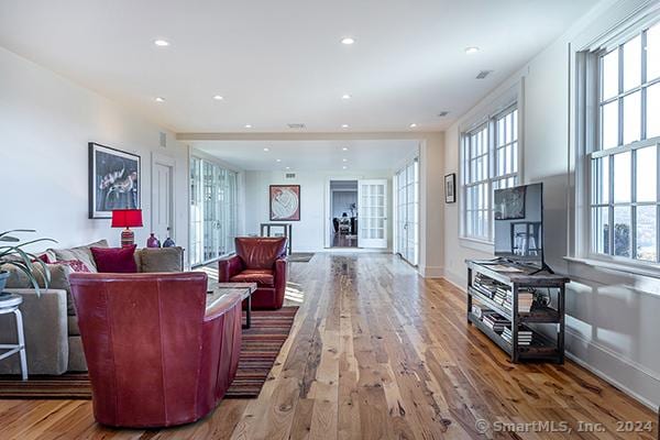 living room with wood-type flooring and plenty of natural light