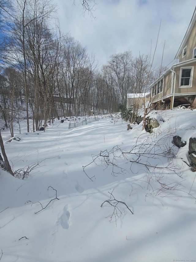 view of yard layered in snow