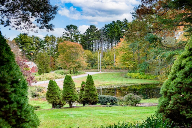 view of home's community featuring a water view and a yard