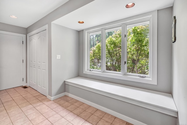 interior space with light tile patterned floors and a healthy amount of sunlight