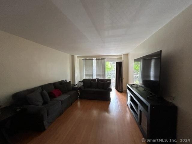 living room featuring hardwood / wood-style flooring