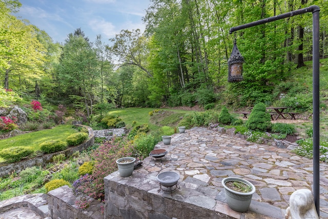 view of yard with a patio area