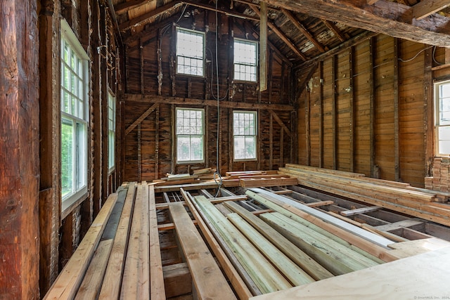 unfinished attic with a wealth of natural light