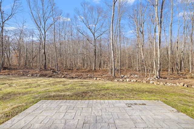 view of yard with a patio