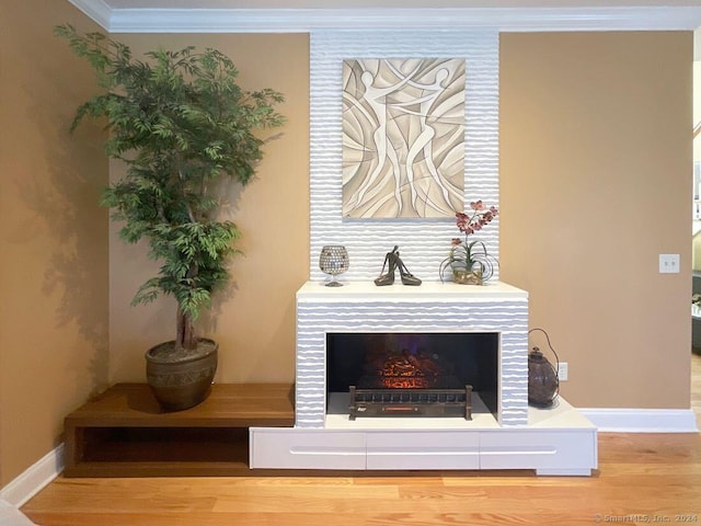 interior details with ornamental molding and hardwood / wood-style floors