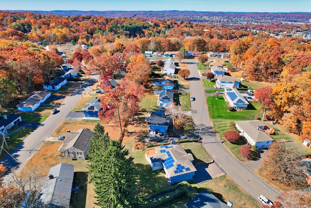 bird's eye view