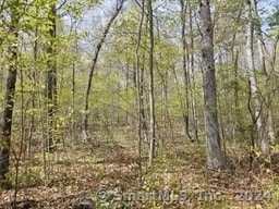 Listing photo 2 for LOT3 Mihaliak Rd, Willington CT 06279