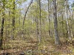 LOT3 Mihaliak Rd, Willington, CT 06279