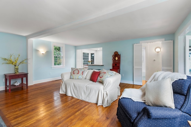 living room featuring wood-type flooring