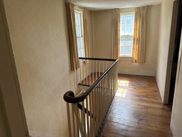 corridor featuring hardwood / wood-style flooring