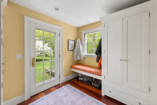 mudroom featuring dark hardwood / wood-style floors