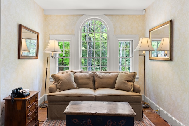 living room with a wealth of natural light and dark hardwood / wood-style floors