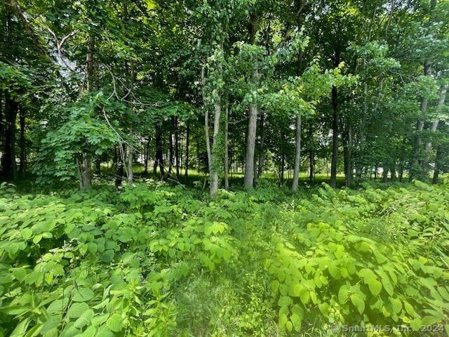 369 Turnpike Rd, Somers CT, 06071 land for sale