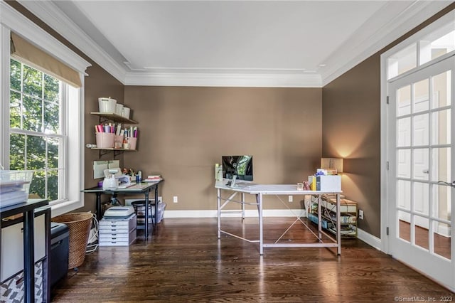 office with dark hardwood / wood-style flooring and crown molding