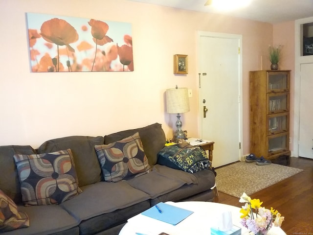 living room featuring wood-type flooring