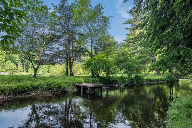 view of water feature