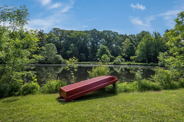 view of community with a water view and a yard