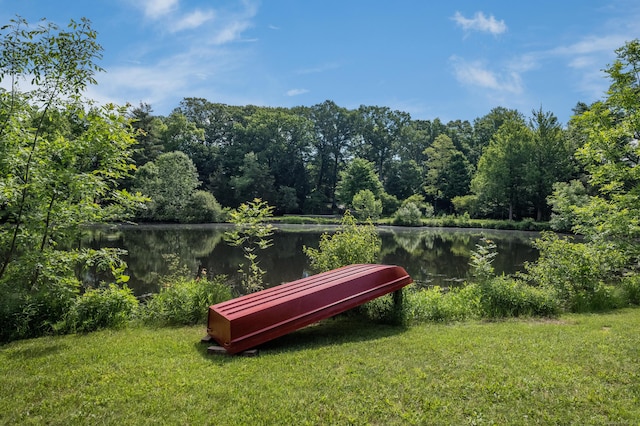 view of community with a water view and a lawn