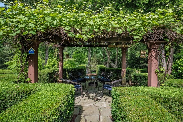 view of yard with a patio