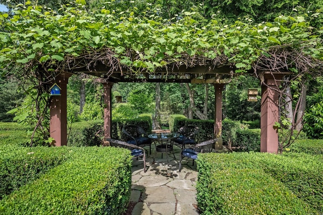 view of yard with a patio