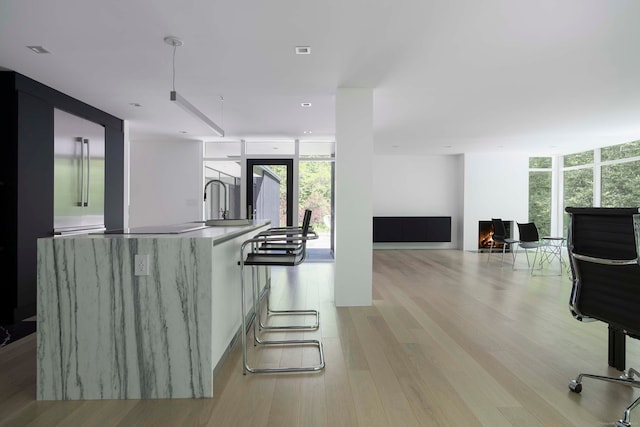 kitchen with light hardwood / wood-style flooring, a wall of windows, and sink