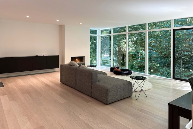 living room featuring expansive windows, light hardwood / wood-style floors, and a wealth of natural light