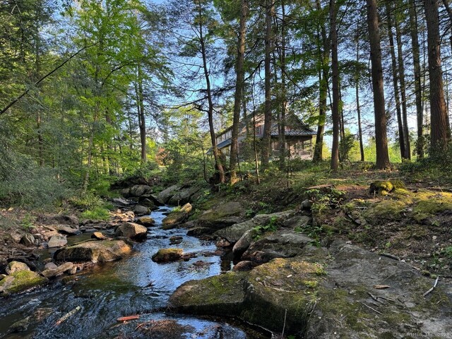 view of local wilderness