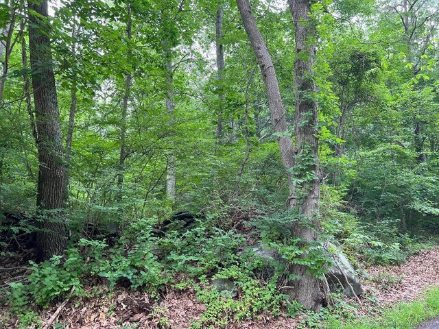 402 Cox Rd # 8, Portland, CT 06480 - photo 2