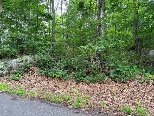 402 Cox Rd # 8, Portland, CT 06480 - photo 7