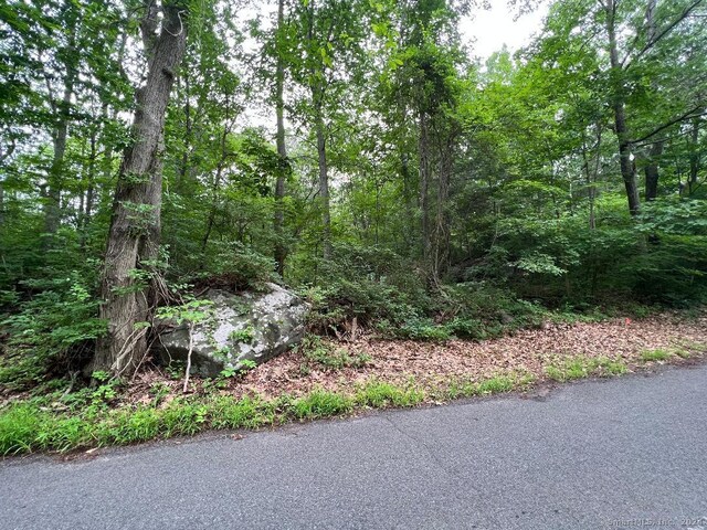 402 Cox Rd # 8, Portland, CT 06480 - photo 8