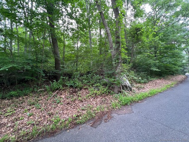 402 Cox Rd # 8, Portland, CT 06480 - photo 9