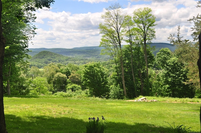 view of mountain feature featuring a view of trees