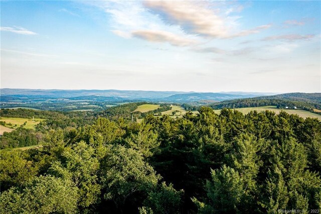 5 Homestead Farm Ln, North East, NY 12546 - photo 5