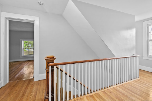 staircase with hardwood / wood-style floors