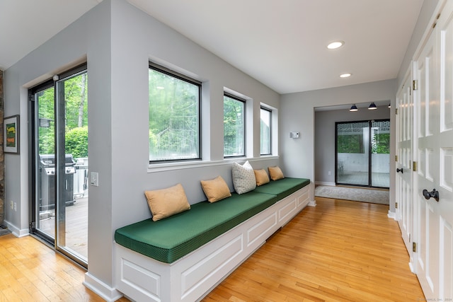 interior space featuring light hardwood / wood-style flooring and a healthy amount of sunlight